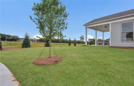 New construction Single-Family house 5233 Morrell Rd, Hoschton, GA 30548 Martin Ray- photo 22 22