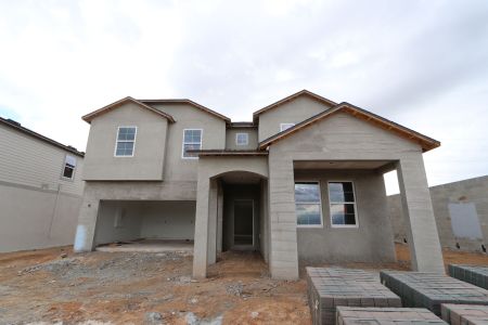 New construction Single-Family house 38326 Tobiano Loop, Dade City, FL 33525 Casanova- photo 60 60