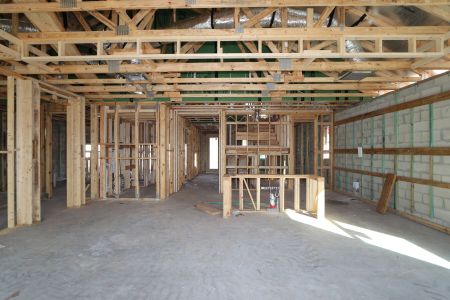 New construction Single-Family house 20264 Oriana Loop, Land O' Lakes, FL 34638 Santa Monica- photo 34 34