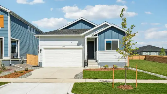 New construction Single-Family house 3202 Conquest St, Fort Collins, CO 80524 plan Cadence - image