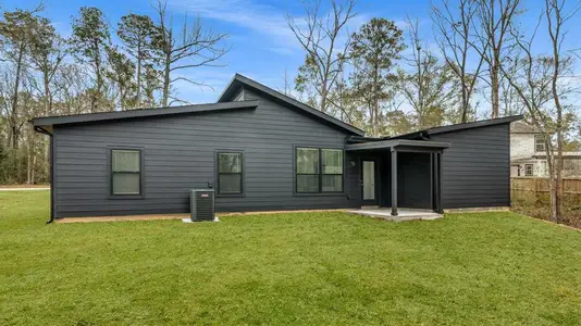 Frontier Lakes by ICONIQ Homes in Willis - image 6