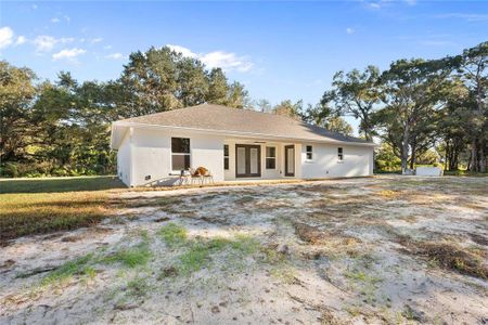 New construction Single-Family house 2164 Cr 436E, Lake Panasoffkee, FL 33538 - image