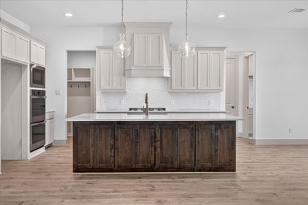 New construction Single-Family house 9204 Wood Duck Dr, Justin, TX 76247 plan The Laredo - image 4