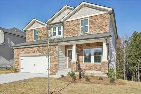 New construction Single-Family house 178 Proust Cir, Dallas, GA 30132 plan Dakota Basement - image
