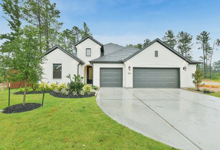 New construction Single-Family house 16507 Verbena Glen Dr, Hockley, TX 77447 plan 5029 - image 19