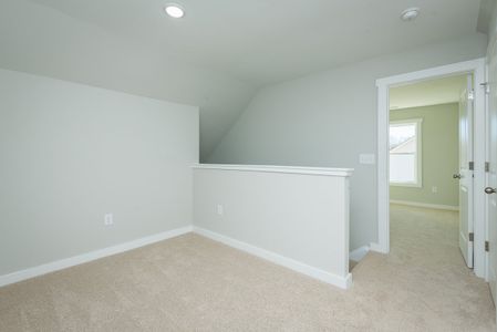 New construction Single-Family house 1125 Scarlett Oak Rd, Spring Hope, NC 27882 plan Brook C - image 16