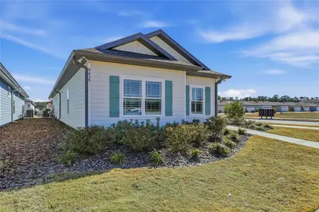 New construction Single-Family house 9639 Sw 66Th Ln, Gainesville, FL 32608 - image