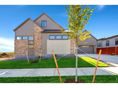 New construction Single-Family house 1641 Flourish Ct, Windsor, CO 80550 plan The Isleworth - image 2