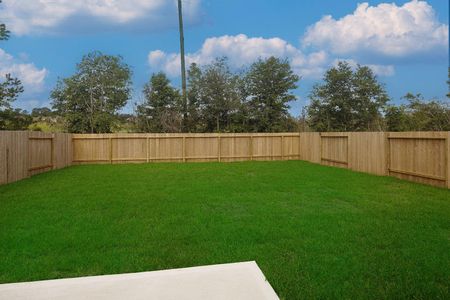 New construction Single-Family house 140 Ashe Juniper Wy, Magnolia, TX 77354 - image 4