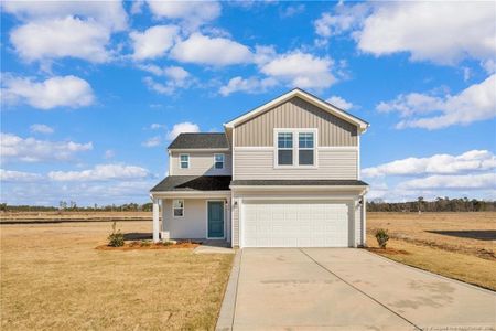 New construction Single-Family house 208 Buggy Top Ln, Autryville, NC 28318 - image