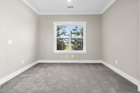 New construction Single-Family house 1089 Saltwater Cir, Johns Island, SC 29455 Duvall II- photo 34 34