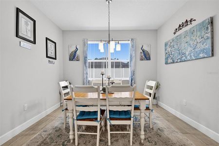 New construction Single-Family house 17 Ferngate Ln, Palm Coast, FL 32137 - image 17