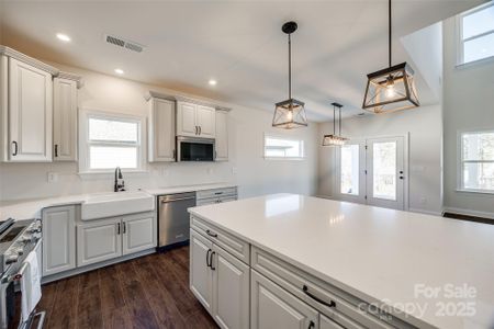 Farm house sink and massive island with surround cabinets