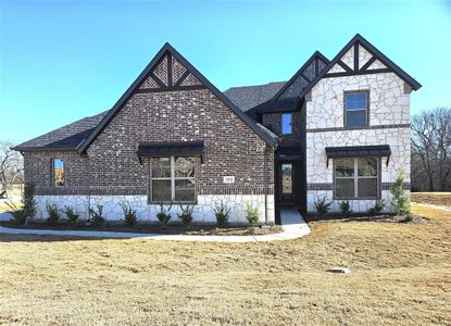 New construction Single-Family house 388 Willie'S, Whitesboro, TX 76273 - image