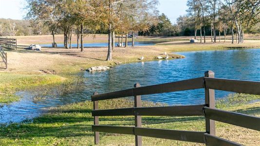 New construction Single-Family house 129 Palo Pinto Bnd, Bastrop, TX 78602 2669W- photo 9 9