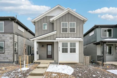 New construction Single-Family house 8779 Whiteclover St, Littleton, CO 80125 plan Plan 5 - image
