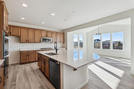 New construction Single-Family house 3184 Boral Owl Dr, Brighton, CO 80601 Hemingway- photo 6 6