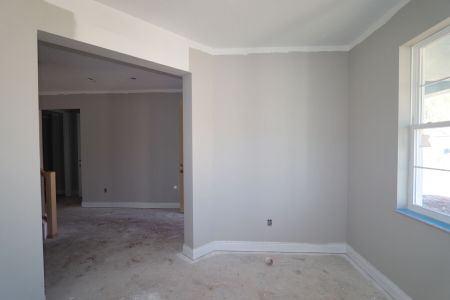 New construction Single-Family house 20264 Oriana Loop, Land O' Lakes, FL 34638 Santa Monica- photo 111 111