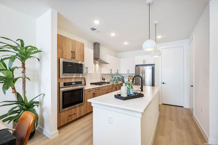 New construction Condo house 719 E Locust, Unit 2109, San Antonio, TX 78212 - image 18