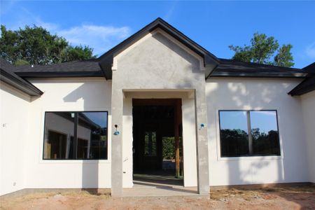 New construction Single-Family house 339 W Shore Ln, Montgomery, TX 77356 - image