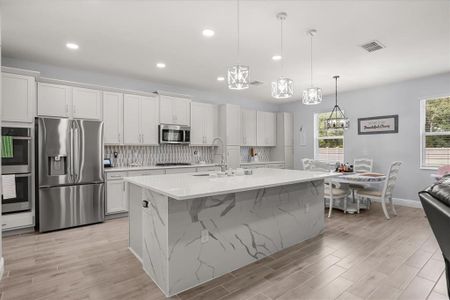 New construction Single-Family house 5867 Sierra Crown St, Mount Dora, FL 32757 plan Palmer - image 9
