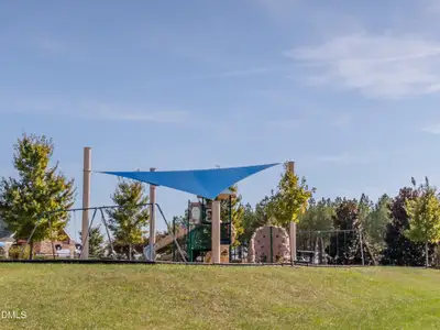 New construction Single-Family house 60 Willow Creek Ct, Pittsboro, NC 27312 - image 14