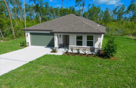 New construction Single-Family house 6241 Freeport Dr, Spring Hill, FL 34608 - image