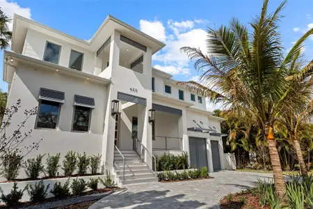 New construction Single-Family house 423 S Royal Poinciana Dr, Tampa, FL 33609 - image