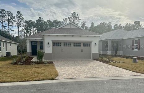 New construction Single-Family house 10218 Sw 99Th Ln, Ocala, FL 34481 - photo 0