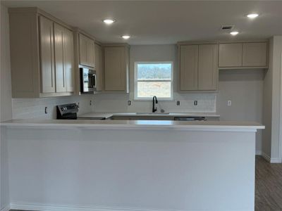 New construction Single-Family house 217 Altom Rd, Springtown, TX 76082 - image 3