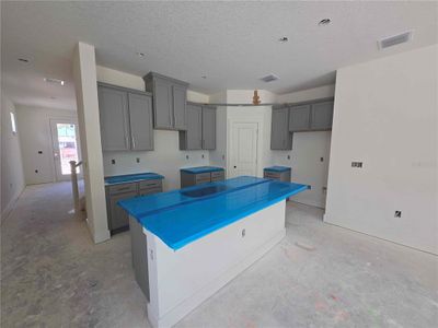 New construction Single-Family house 3830 Daybreak Run Lp, Spring Hill, FL 34609 plan Shoreline - image 7