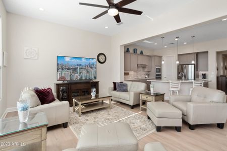 PebbleCreek by Robson Resort Communities in Goodyear - photo 18 18