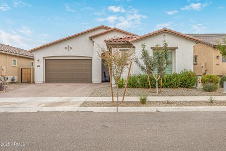 New construction Single-Family house 22880 E San Tan Blvd, Queen Creek, AZ 85142 - image