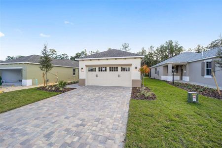 New construction Single-Family house 10330 Sw 99Th Ln, Ocala, FL 34481 - photo 0