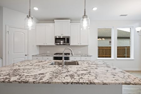 New construction Single-Family house 1126 Butterfly Dale Dr, Lavon, TX 75166 plan The Tucker - image 10