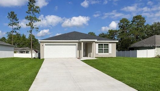 New construction Single-Family house 5077 Sw 155Th Lp, Ocala, FL 34473 - image