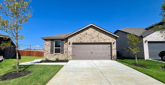 New construction Single-Family house 2011 Winecup Drive, Melissa, TX 75454 Hickory- photo 0