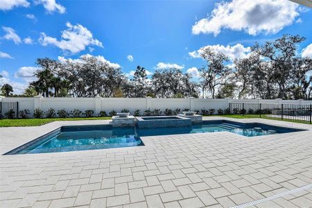 New construction Single-Family house 1624 Evening Summit Circle, Minneola, FL 34715 Stardom- photo 29 29