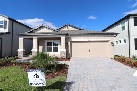 New construction Single-Family house 33227 Amling Pecan Br, Wesley Chapel, FL 33545 Newport II- photo 100 100