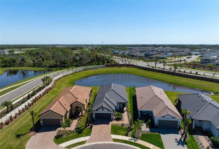 New construction Single-Family house 11522 Trivio Ter, Palmetto, FL 34221 null- photo 48 48