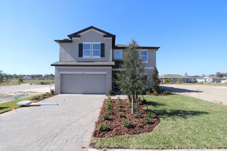 New construction Single-Family house Spring Hill, FL 34609 plan Alenza - image