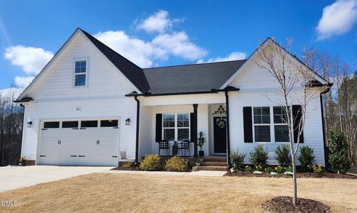 New construction Single-Family house 452 Brodie Rose Landing Wy, Smithfield, NC 27577 - image
