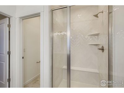 New construction Single-Family house 1854 Equinox Dr, Windsor, CO 80550 plan Plan C417 - image 13