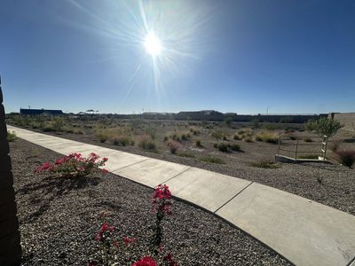 Walking path next to home