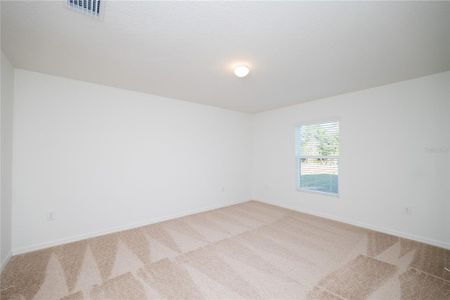 New construction Single-Family house 245 Harper Estates Cir, Lake Wales, FL 33859 - image 17