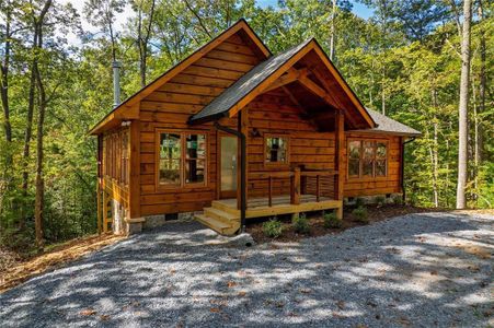 New construction Single-Family house 100 Crystal Oliver Ln, Cherry Log, GA 30522 - image