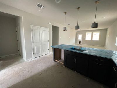 New construction Single-Family house 138 Brislecone Pass, Hutto, TX 78634 Brodie- photo 9 9