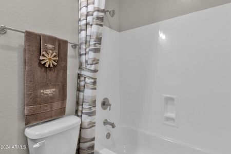 Earnhardt Ranch by Blandford Homes in Chandler - photo 32 32