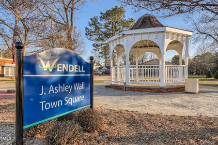 New construction Single-Family house 5501 Cayden Cove Dr, Wendell, NC 27591 plan Virginia - image