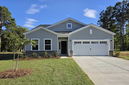 New construction Single-Family house 1501 Deercreek Dr, Manning, SC 29102 plan Durham II - image